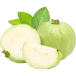 Guava White Thailand Premium