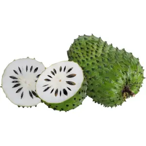 Soursop – Graviola – Guanabana