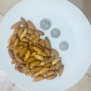 Mamra Almond AFGHANISTAN