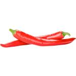 Chili Red Long