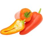 Chilli Jalapeno Red Holland