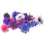 Cornflower Edible Flowers