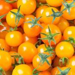 Tomato Cherry Yellow