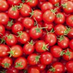Tomato Red Cherry UAE