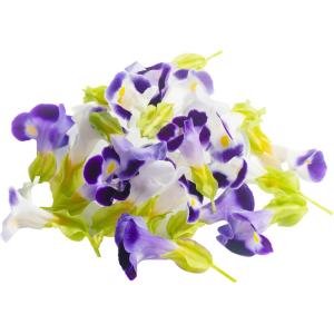 Torenia Edible Flowers